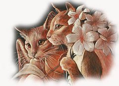 Copia di Catz 1